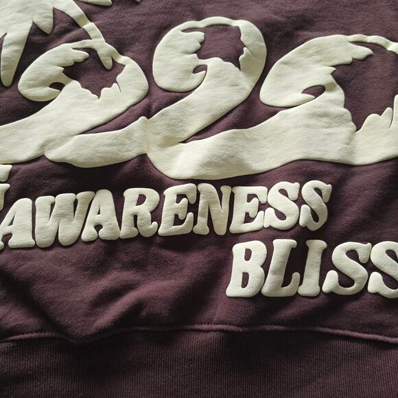 Cactus Plant Flea Market Being Awareness Bliss Sweatshirt Brown Sz S Made in USA - Picture 10 of 11
